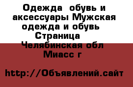 Одежда, обувь и аксессуары Мужская одежда и обувь - Страница 2 . Челябинская обл.,Миасс г.